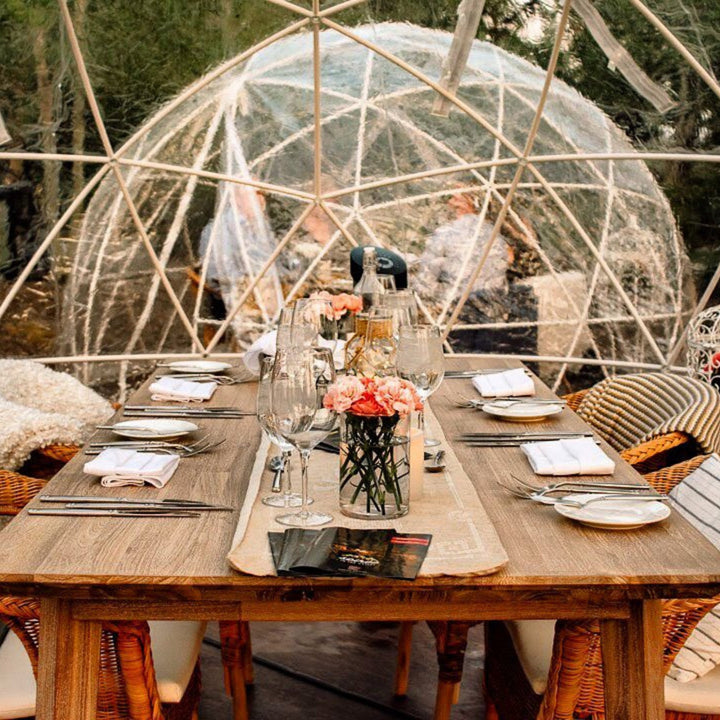 Garden Dome Tent 12 FT, Geodesic Dome Tent, Eco Geodesic Dome Kit, Full Transparent Waterproof Gazebo, Geo Dome, Bubble Tent